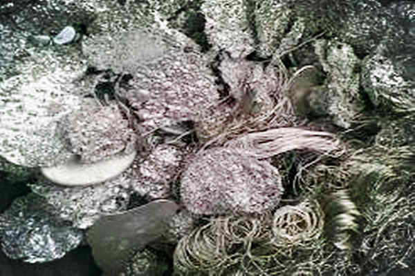 回收锡渣,无铅锡滴与63锡丝回收:电子垃圾中的“贵金属”,分类处理指南